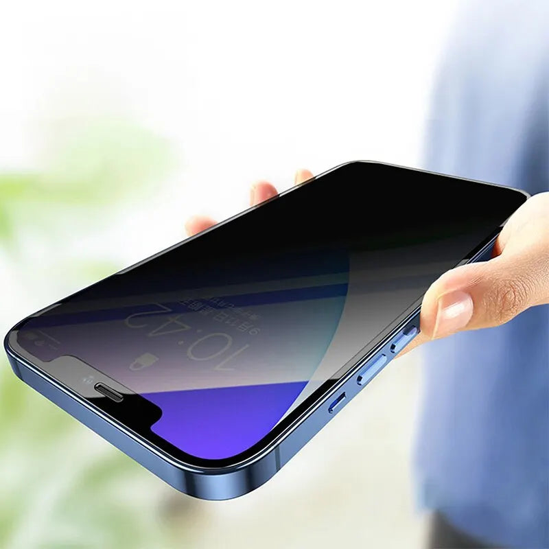 Privacy Glass Shield